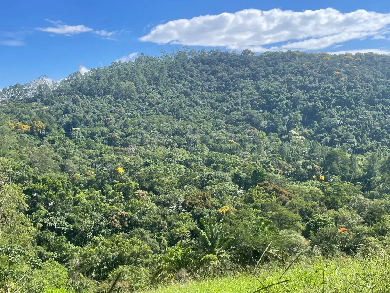 Plot for sale of 6 acres in São José dos Campos, SP, Brazil