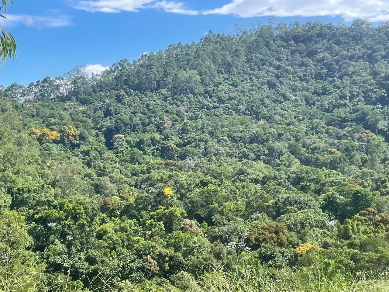Plot for sale of 6 acres in São José dos Campos, SP, Brazil