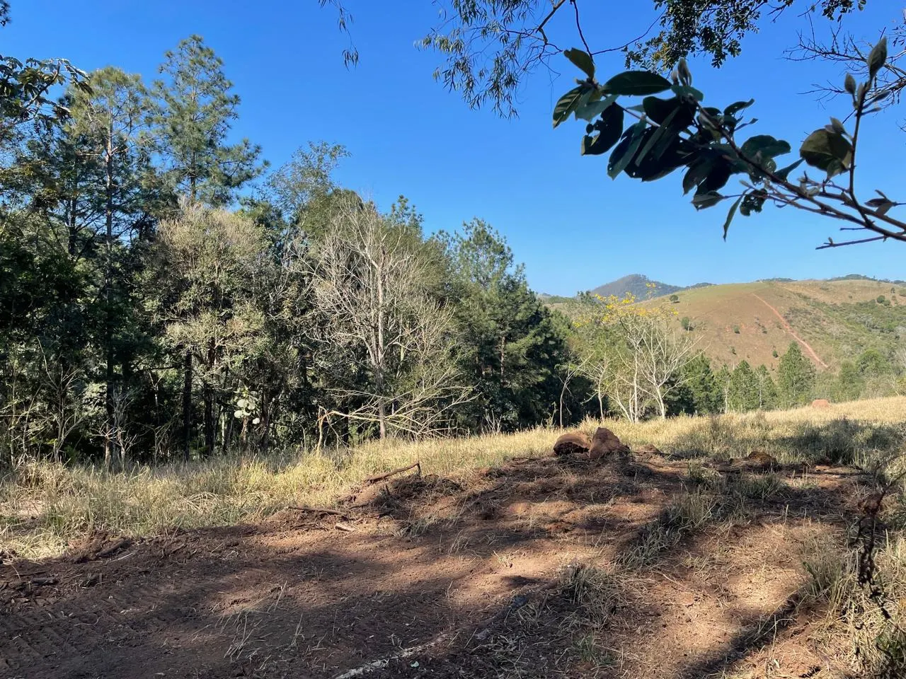 Plot for sale of 6 acres in São José dos Campos, SP, Brazil