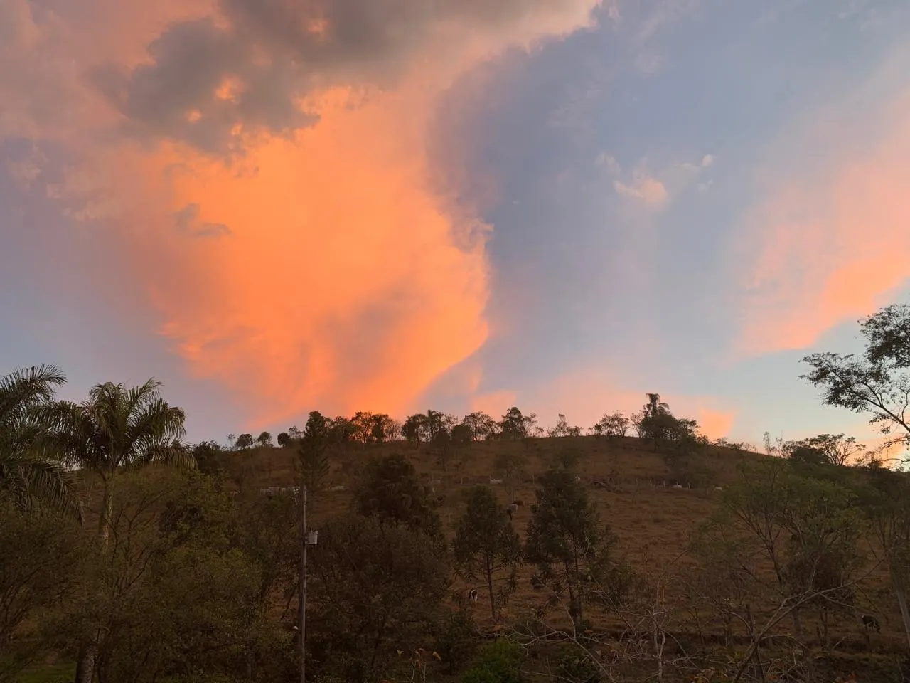 Plot for sale of 6 acres in São José dos Campos, SP, Brazil