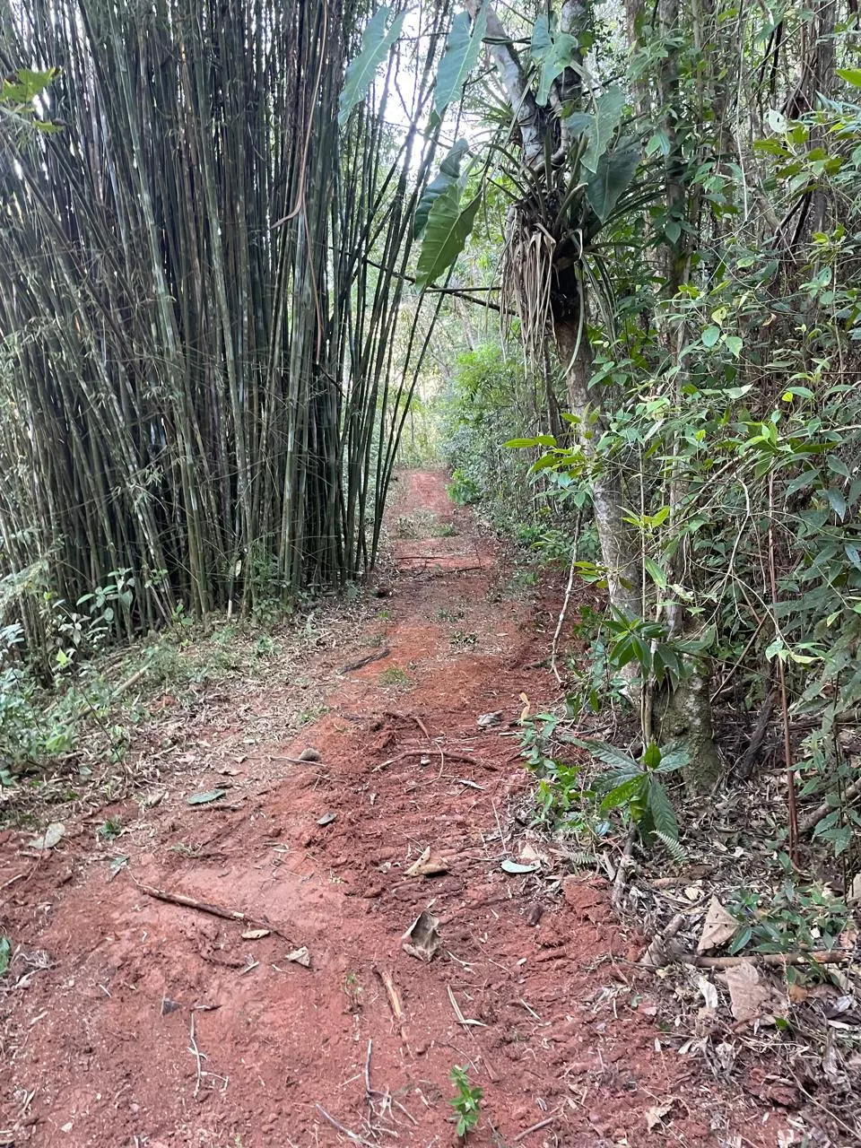 Plot for sale of 6 acres in São José dos Campos, SP, Brazil