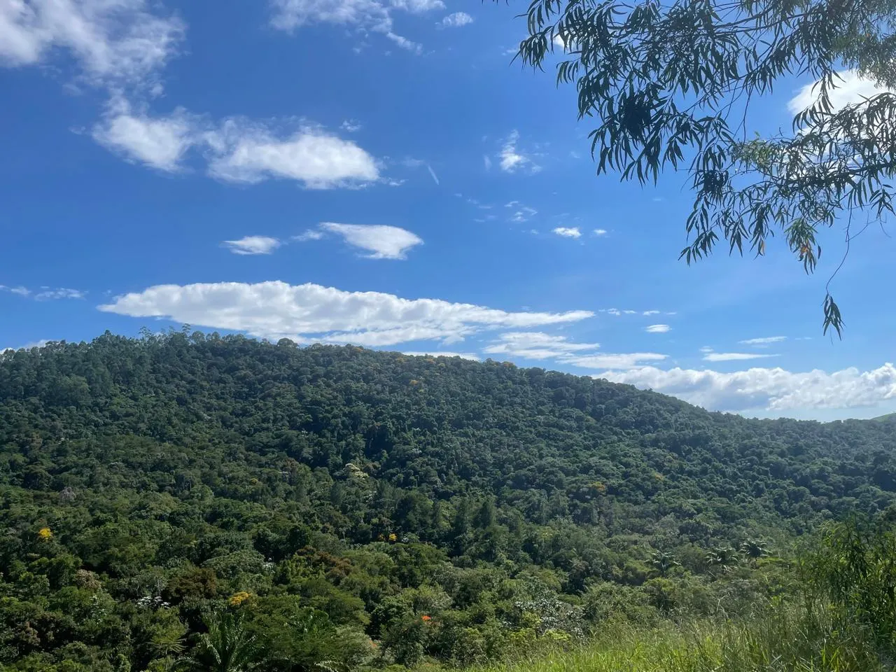 Plot for sale of 6 acres in São José dos Campos, SP, Brazil
