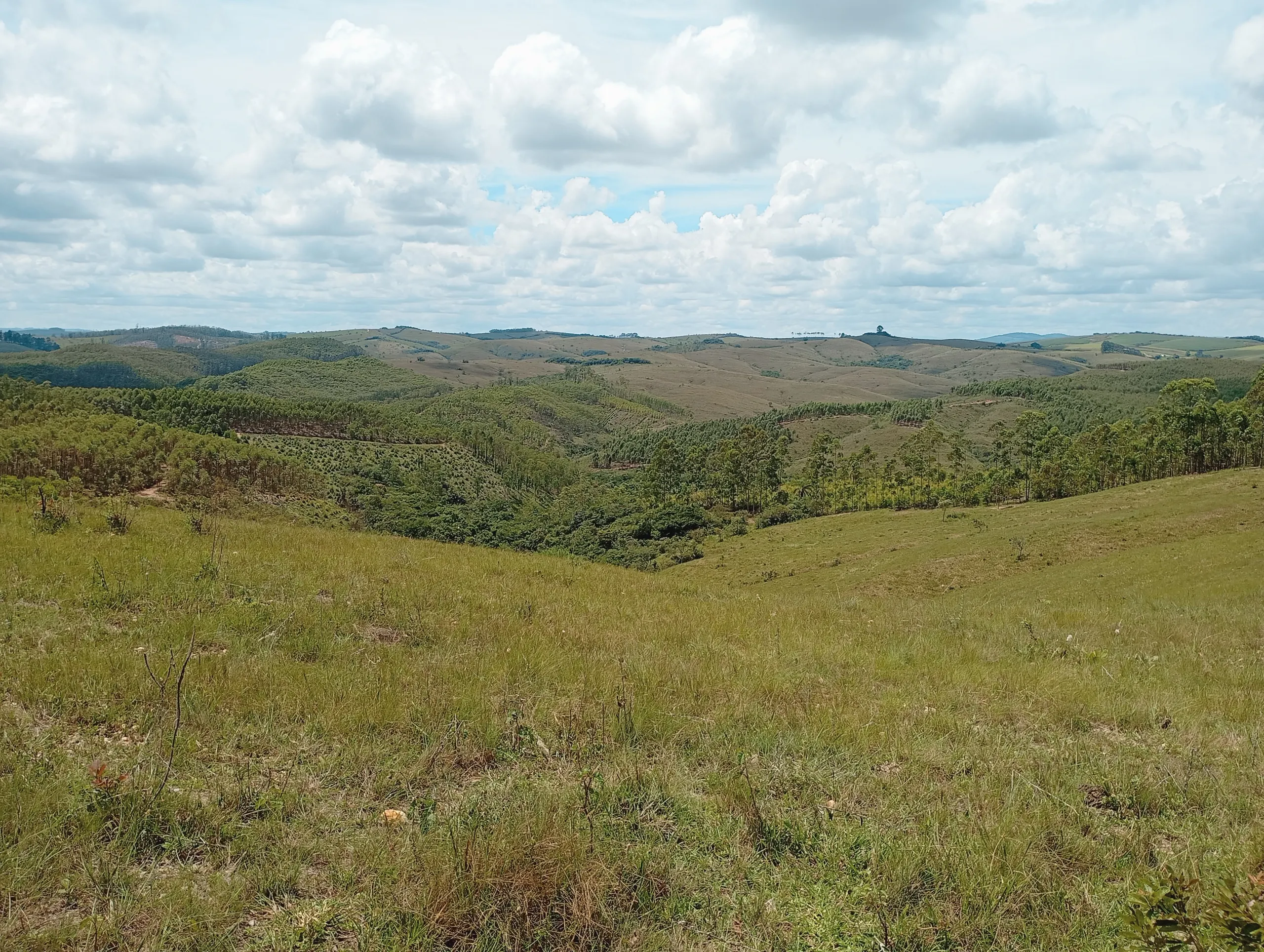 Fazenda à venda de 160 ha em São João del Rei, MG, Brasil