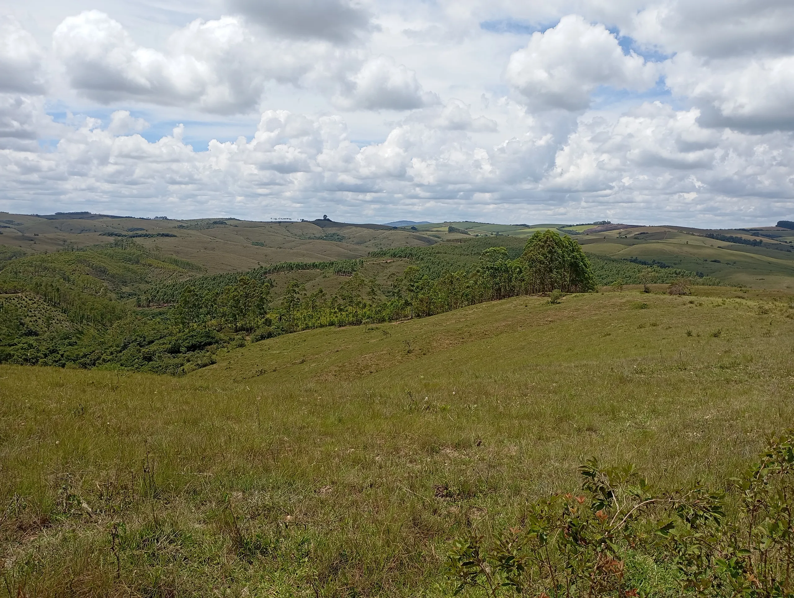 Fazenda à venda de 160 ha em São João del Rei, MG, Brasil