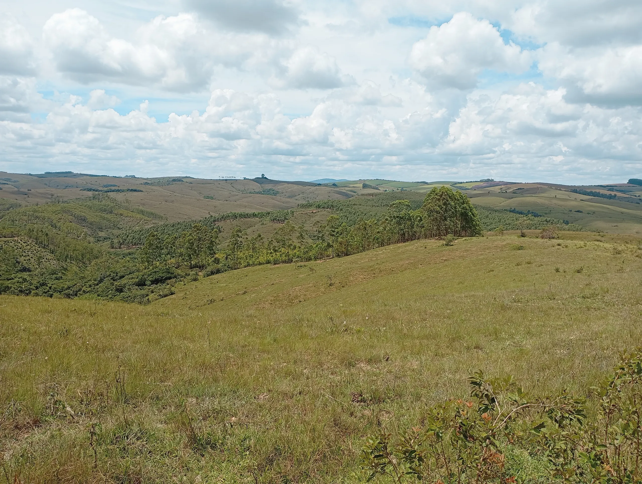 Fazenda à venda de 160 ha em São João del Rei, MG, Brasil