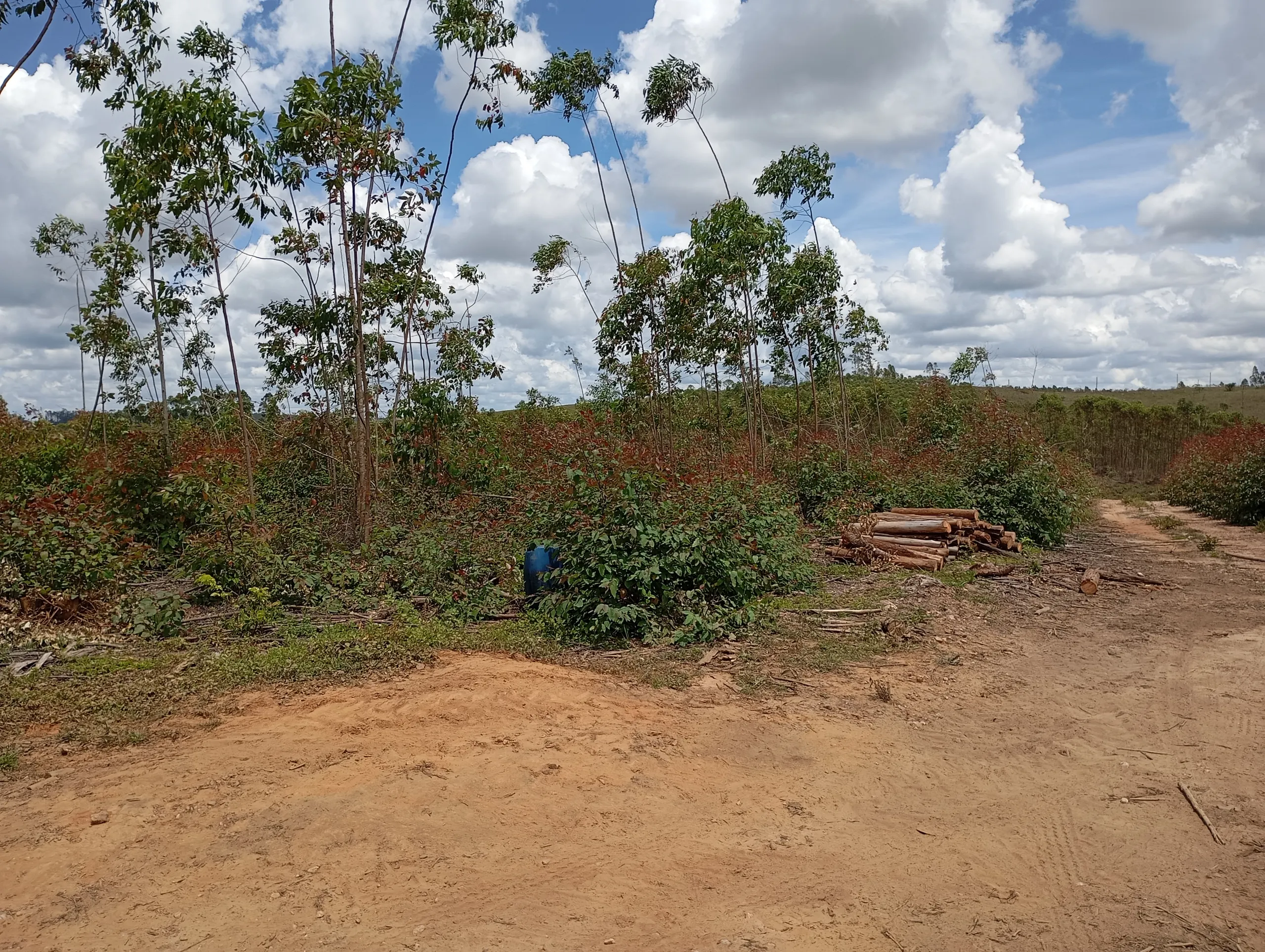Fazenda à venda de 160 ha em São João del Rei, MG, Brasil