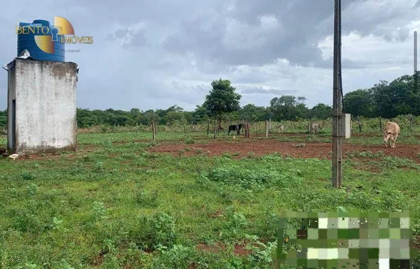 Farm for sale of 3,212 acres in Primavera do Leste, MT, Brazil