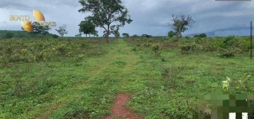 Farm for sale of 3,212 acres in Primavera do Leste, MT, Brazil
