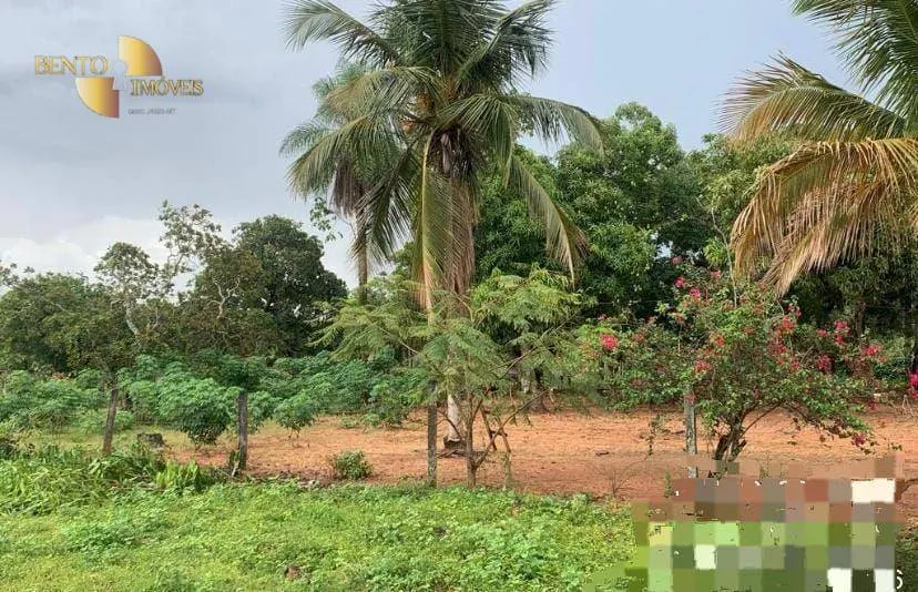 Farm for sale of 3,212 acres in Primavera do Leste, MT, Brazil