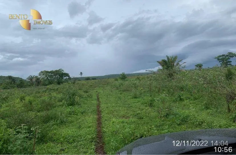 Fazenda à venda de 1.300 ha em Primavera do Leste, MT, Brasil