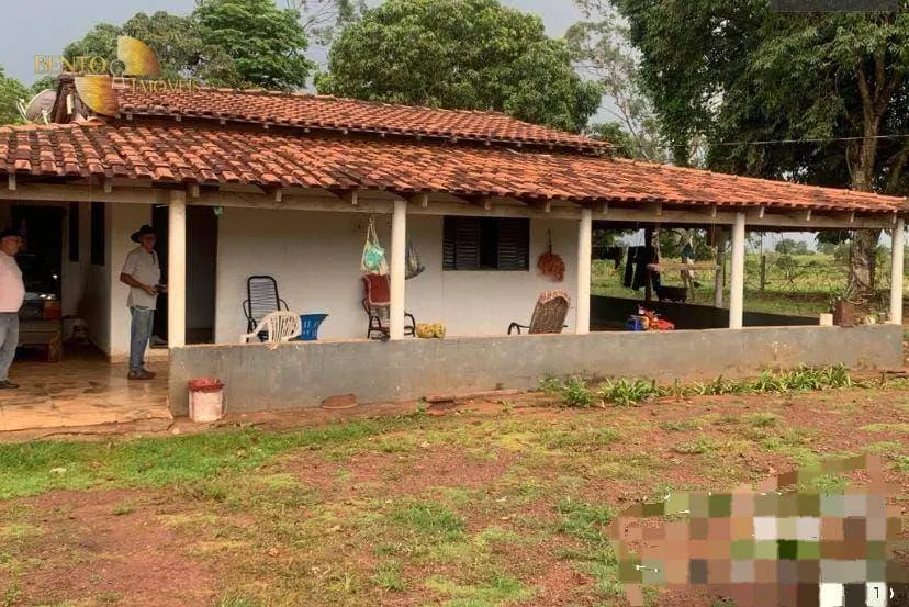 Farm for sale of 3,212 acres in Primavera do Leste, MT, Brazil