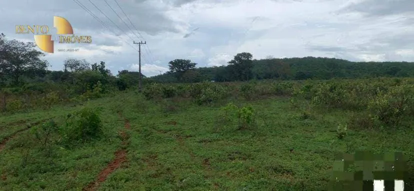 Farm for sale of 3,212 acres in Primavera do Leste, MT, Brazil