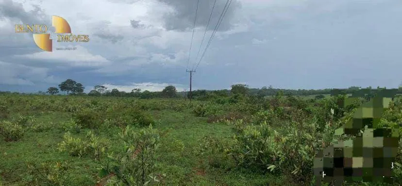 Farm for sale of 3,212 acres in Primavera do Leste, MT, Brazil