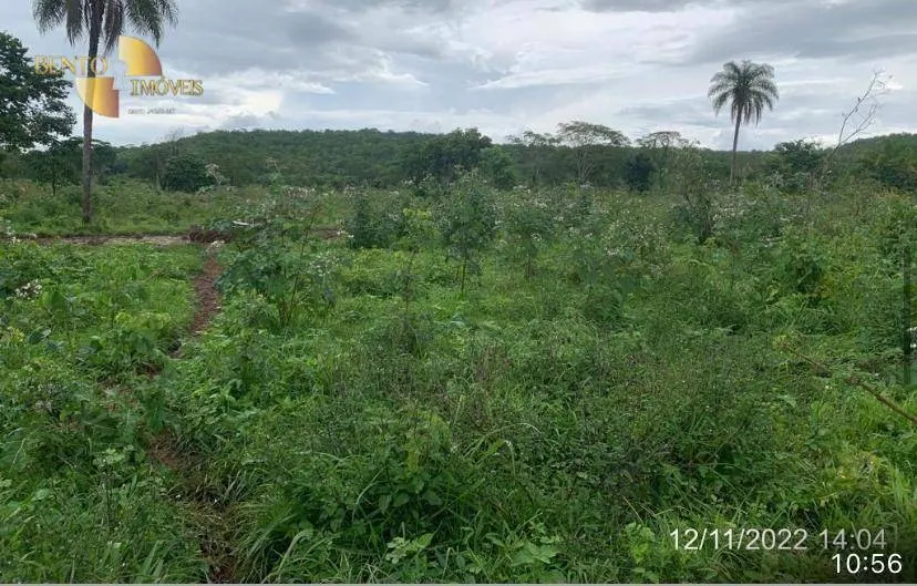 Farm for sale of 3,212 acres in Primavera do Leste, MT, Brazil