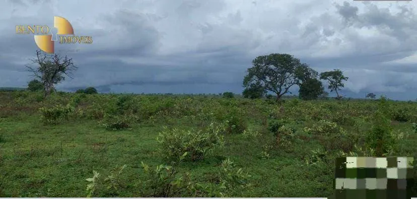 Farm for sale of 3,212 acres in Primavera do Leste, MT, Brazil