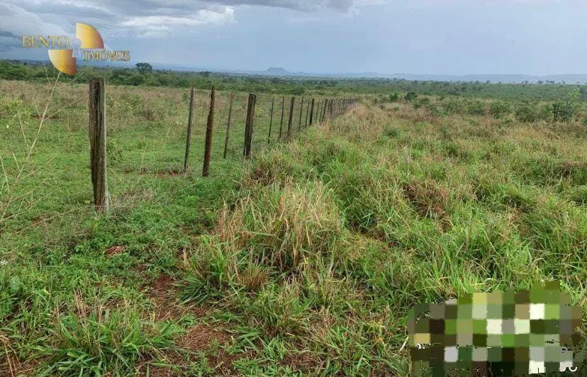 Farm for sale of 3,212 acres in Primavera do Leste, MT, Brazil