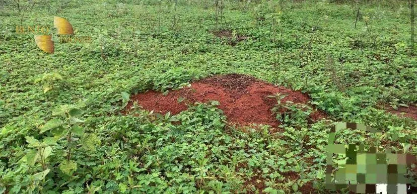 Farm for sale of 3,212 acres in Primavera do Leste, MT, Brazil