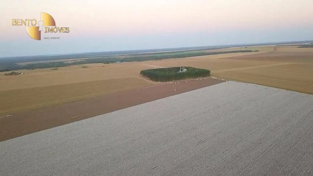 Farm for sale and to rent of 8,154 acres in Nova Mutum, MT, Brazil