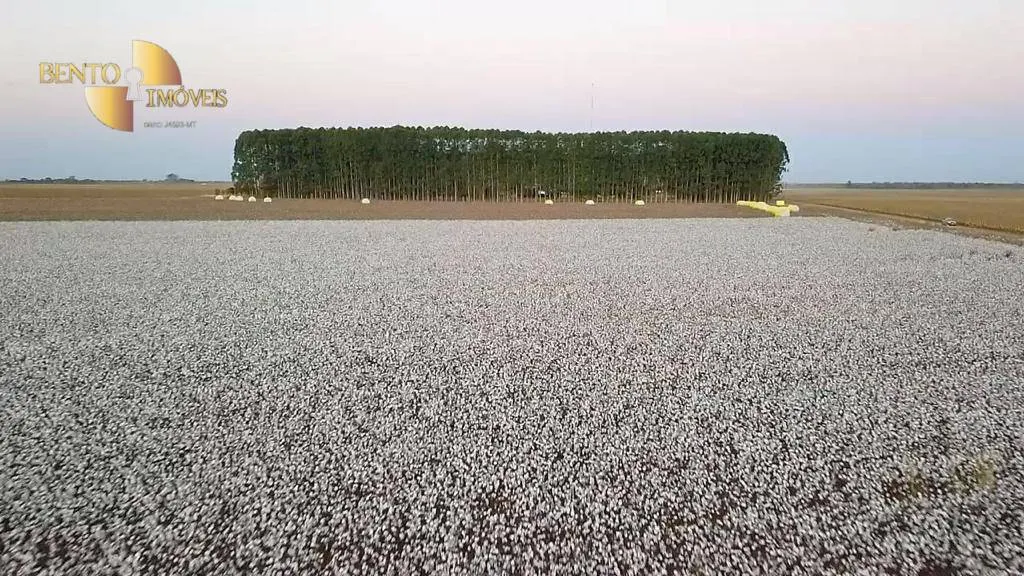 Fazenda à venda e para Arrendar de 3.300 ha em Nova Mutum, MT, Brasil