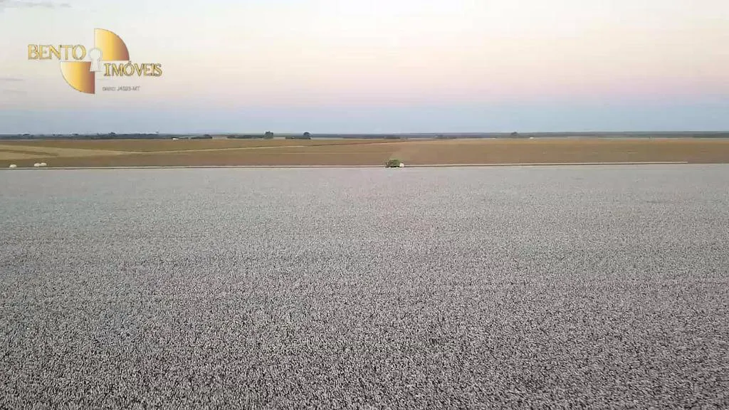 Farm for sale and to rent of 8,154 acres in Nova Mutum, MT, Brazil