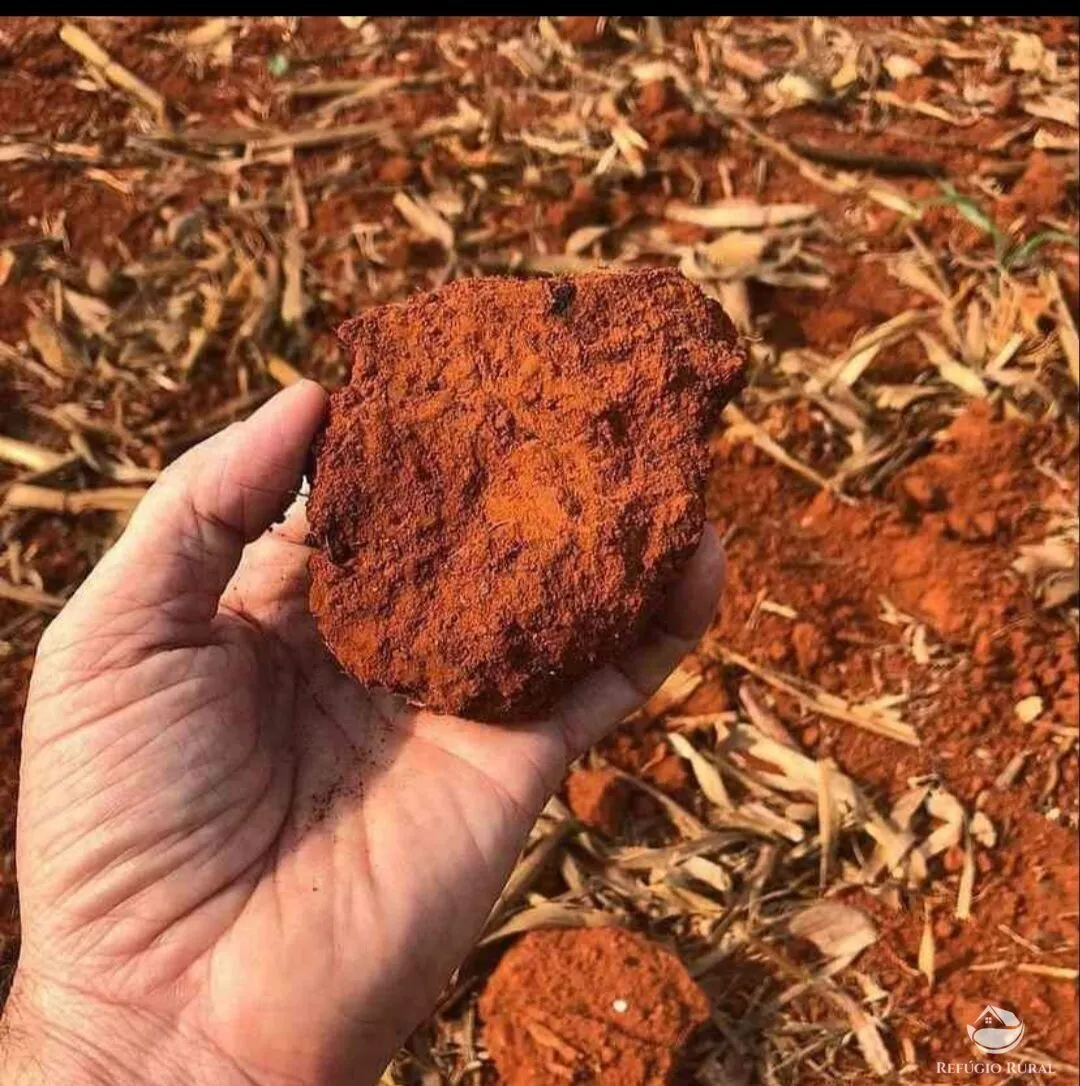 Fazenda à venda de 3.690 ha em Tabaporã, MT, Brasil