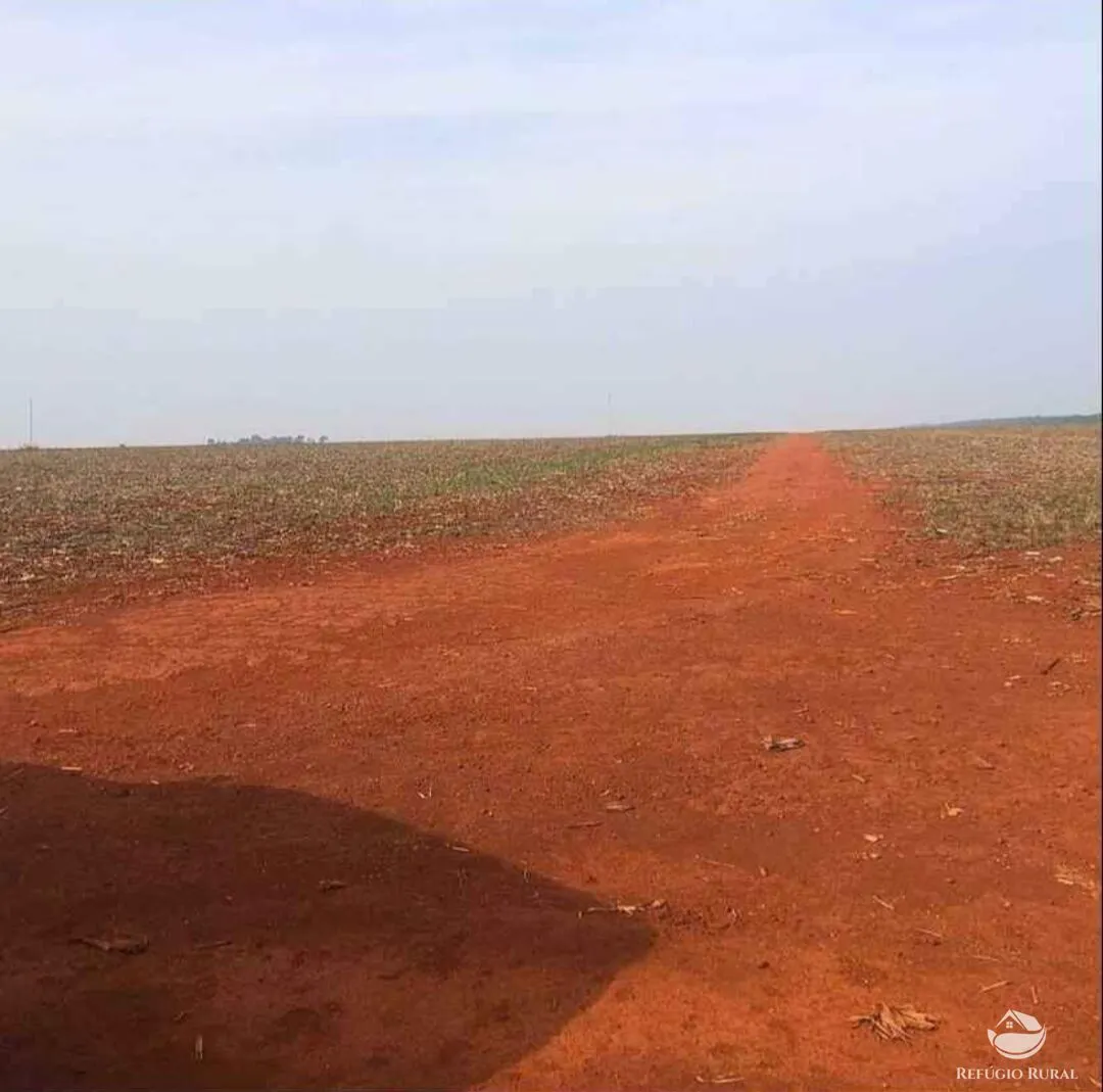 Fazenda à venda de 3.690 ha em Tabaporã, MT, Brasil