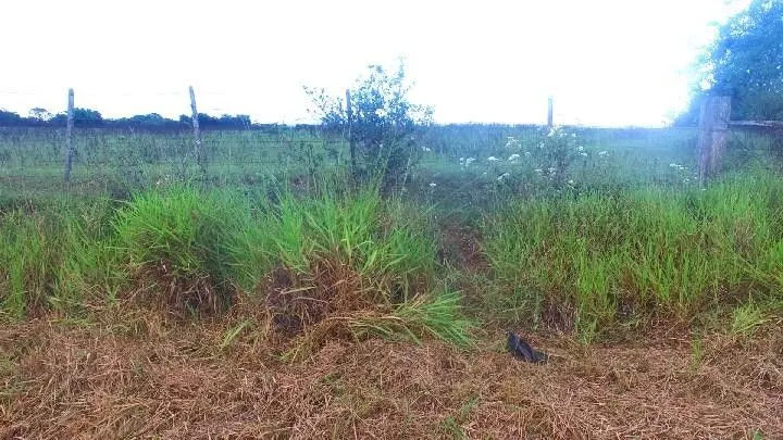 Plot for sale of 25 acres in Gravataí, RS, Brazil
