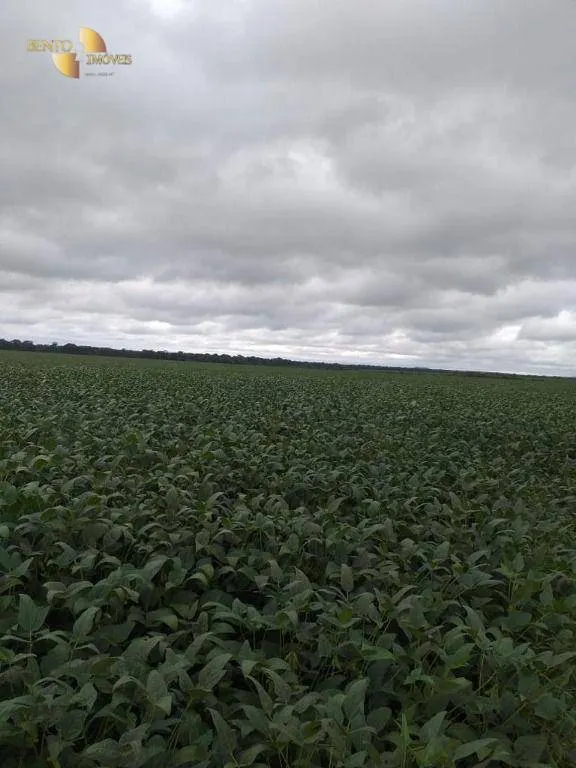 Fazenda à venda de 7.817 ha em Paranatinga, MT, Brasil