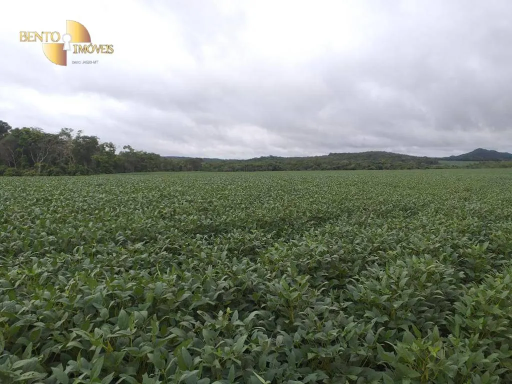 Fazenda à venda de 7.817 ha em Paranatinga, MT, Brasil