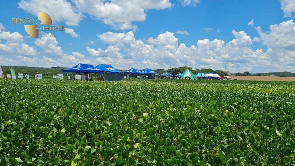Fazenda à venda de 7.817 ha em Paranatinga, MT, Brasil