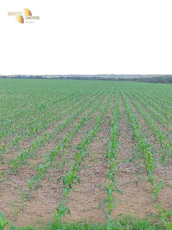Fazenda à venda de 7.817 ha em Paranatinga, MT, Brasil