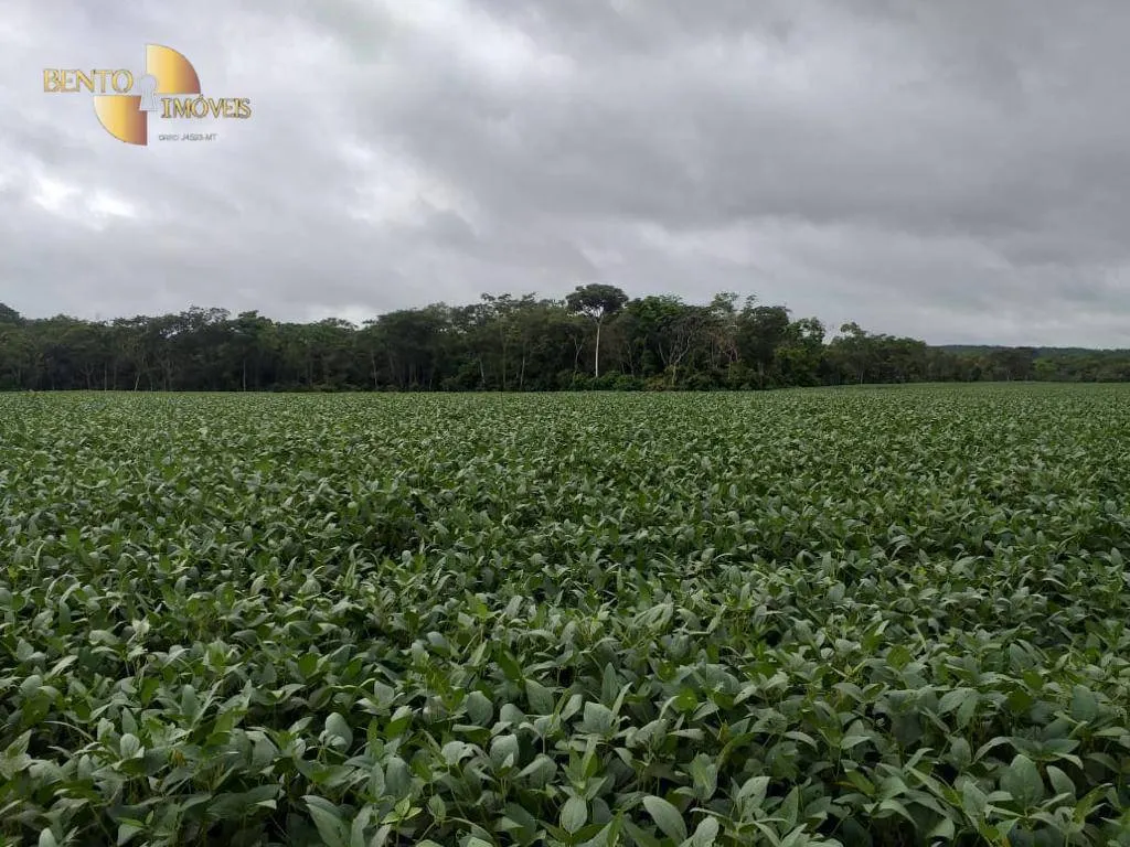 Fazenda à venda de 7.817 ha em Paranatinga, MT, Brasil