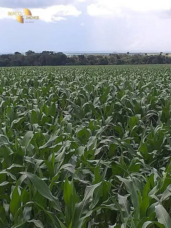 Fazenda à venda de 7.817 ha em Paranatinga, MT, Brasil