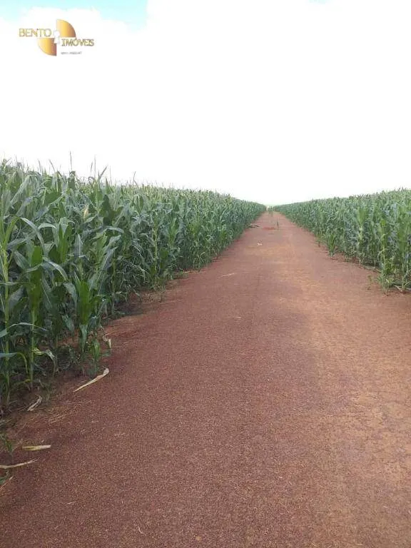 Fazenda à venda de 7.817 ha em Paranatinga, MT, Brasil