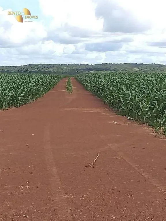 Fazenda à venda de 7.817 ha em Paranatinga, MT, Brasil