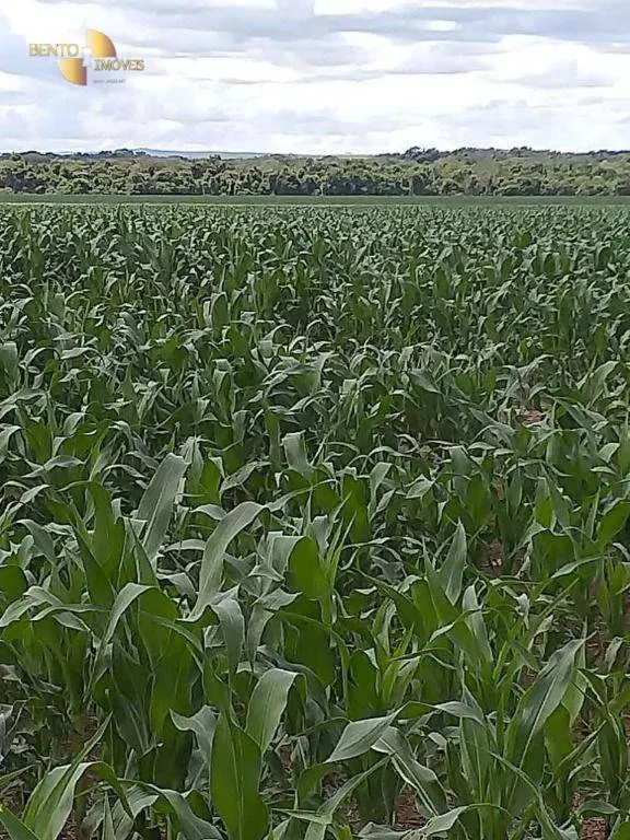 Fazenda à venda de 7.817 ha em Paranatinga, MT, Brasil