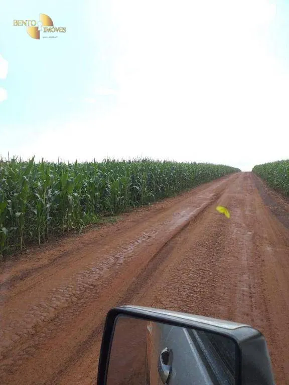 Fazenda à venda de 7.817 ha em Paranatinga, MT, Brasil