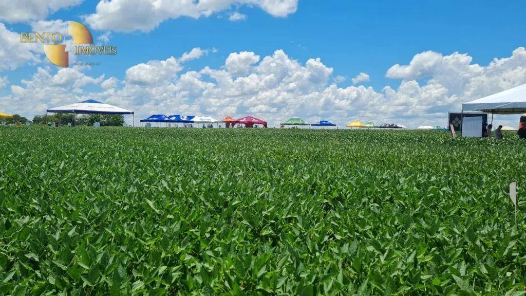 Fazenda à venda de 7.817 ha em Paranatinga, MT, Brasil