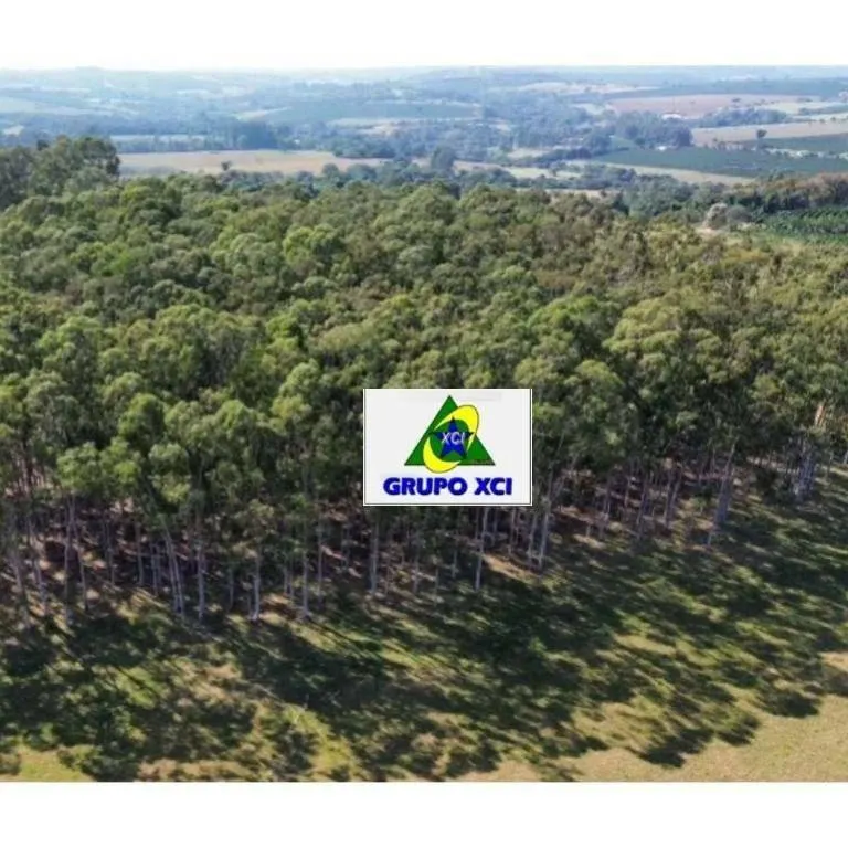 Sítio à venda de 16 ha em Santo Antônio da Alegria, SP, Brasil