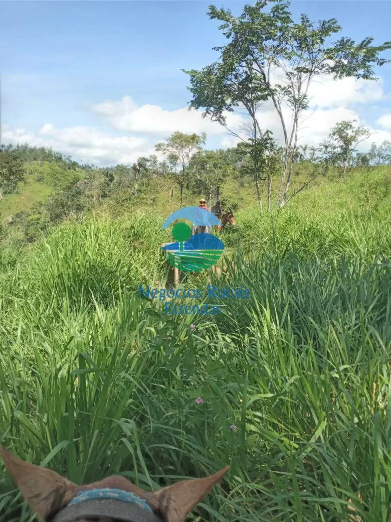 Fazenda à venda de 1.064 ha em São Félix do Xingu, PA, Brasil