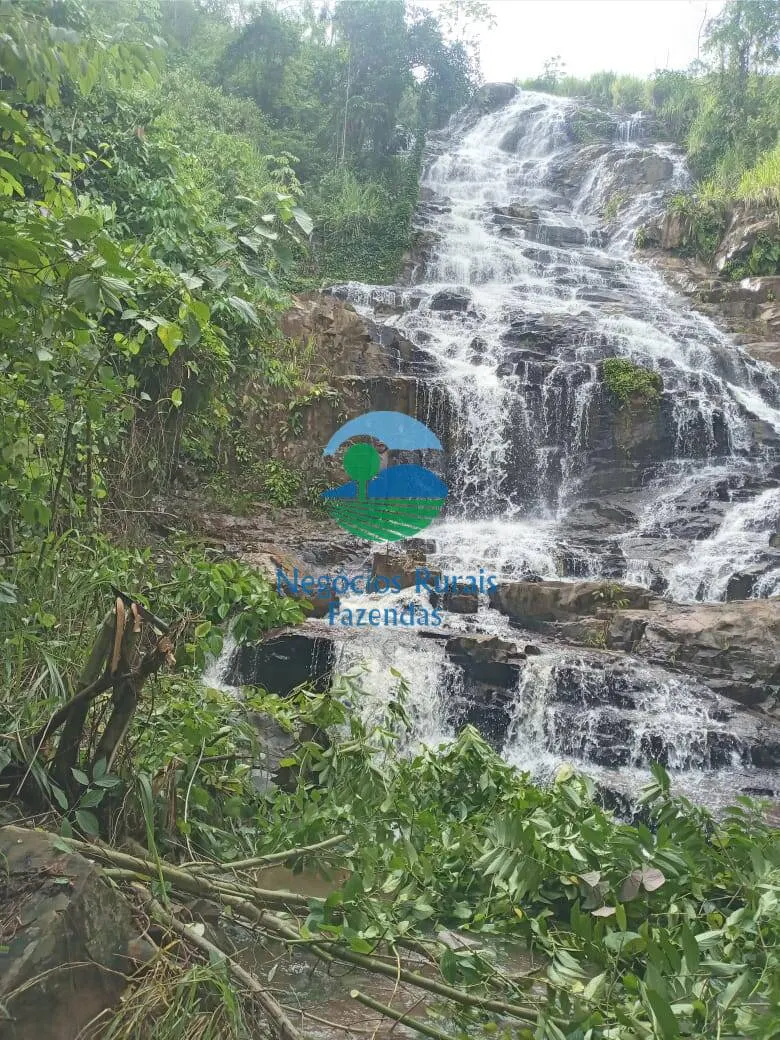 Fazenda à venda de 1.064 ha em São Félix do Xingu, PA, Brasil