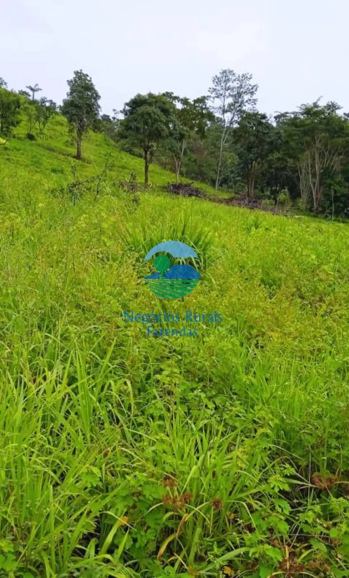Fazenda à venda de 1.064 ha em São Félix do Xingu, PA, Brasil
