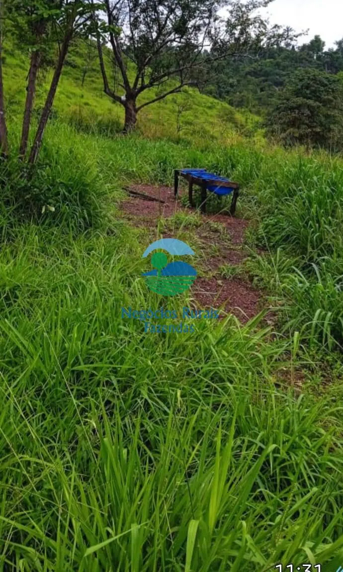 Fazenda à venda de 1.064 ha em São Félix do Xingu, PA, Brasil