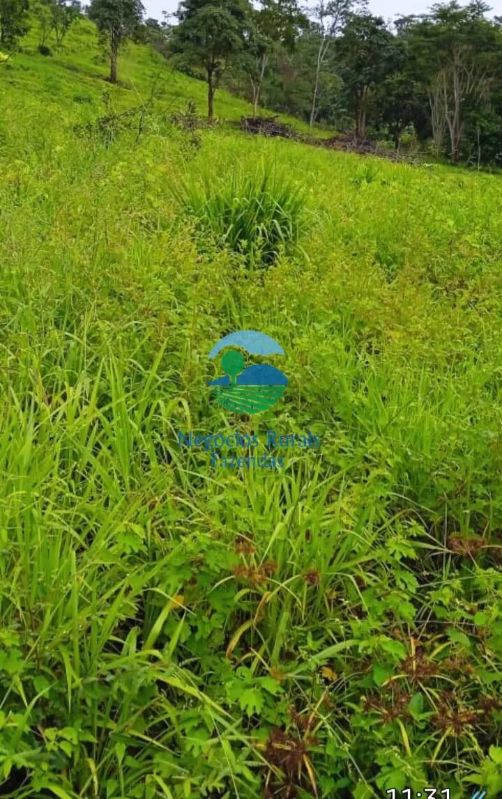 Fazenda à venda de 1.064 ha em São Félix do Xingu, PA, Brasil