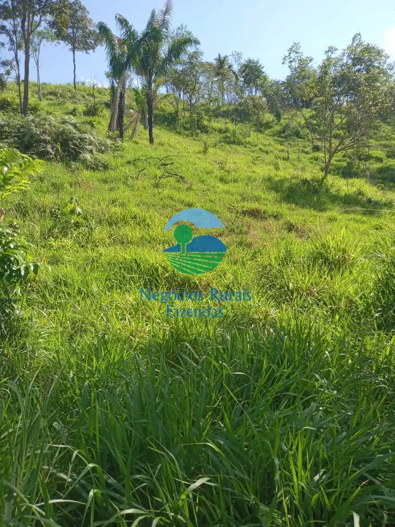 Fazenda à venda de 1.064 ha em São Félix do Xingu, PA, Brasil