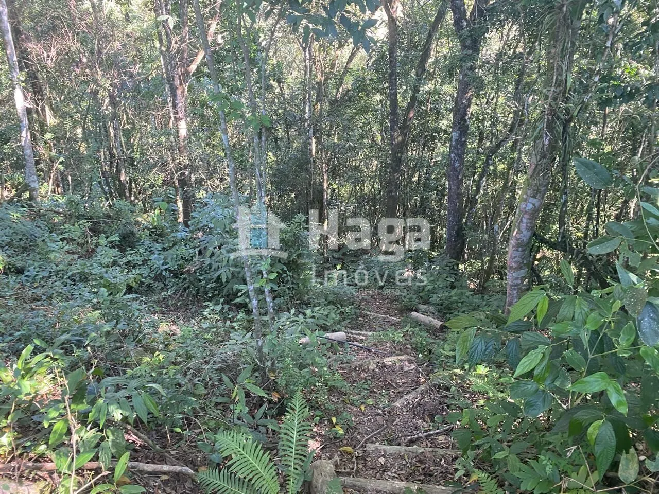 Terreno à venda de 1 ha em Canelinha, SC, Brasil