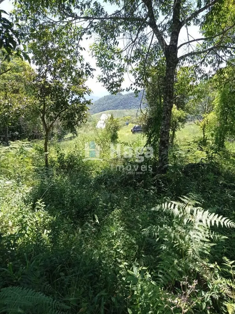 Terreno à venda de 1 ha em Canelinha, SC, Brasil