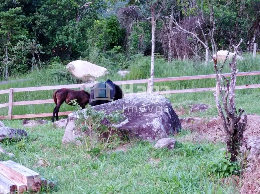 Terreno à venda de 1 ha em Canelinha, SC, Brasil