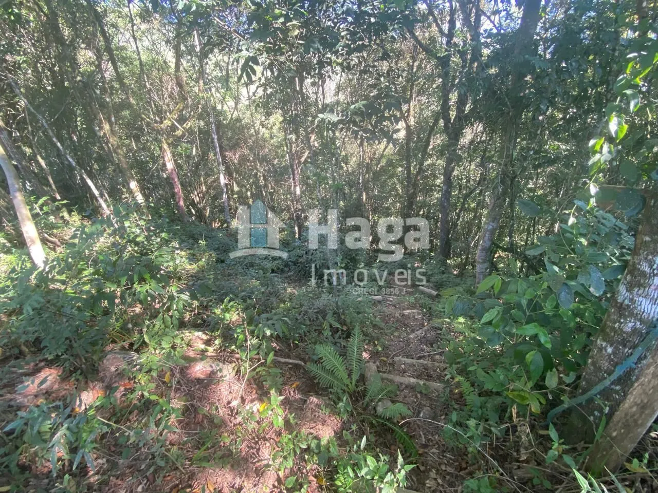 Terreno à venda de 1 ha em Canelinha, SC, Brasil
