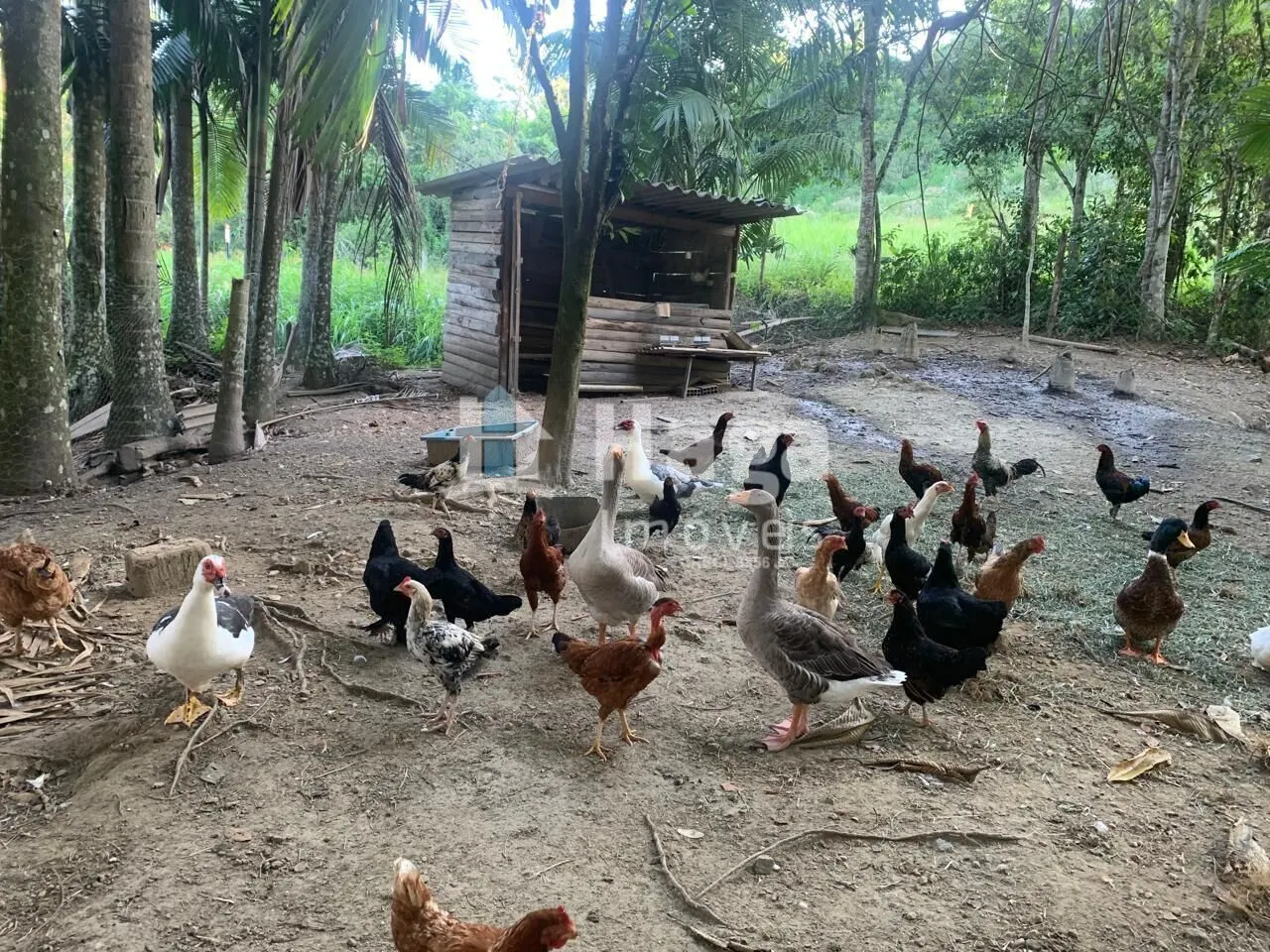 Country home for sale of 1 acres in Tijucas, SC, Brazil